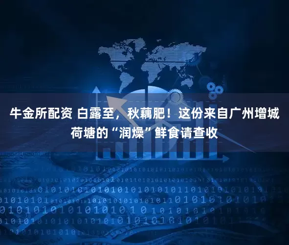 牛金所配资 白露至，秋藕肥！这份来自广州增城荷塘的“润燥”鲜食请查收