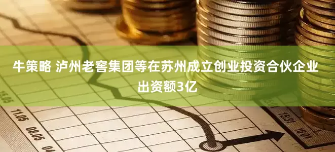 牛策略 泸州老窖集团等在苏州成立创业投资合伙企业 出资额3亿